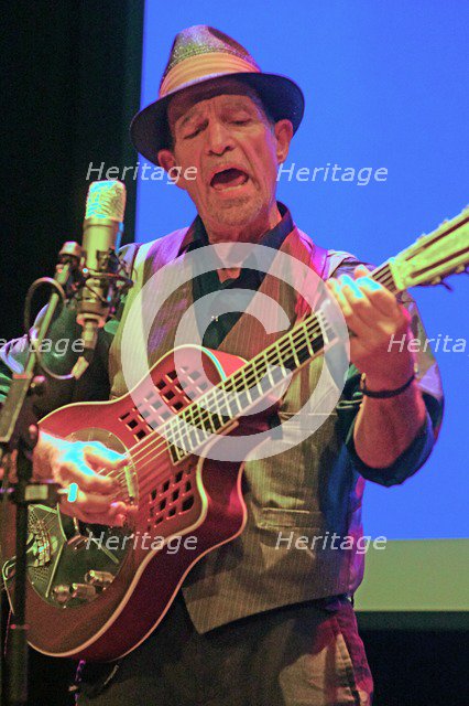 Steve James, Crawley Blues Festival, Crawley, East Sussex, 2014. Artist: Brian O'Connor.