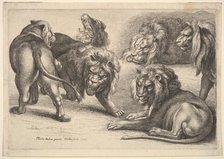 Five Lions and a Lioness, 1646. Creator: Wenceslaus Hollar.