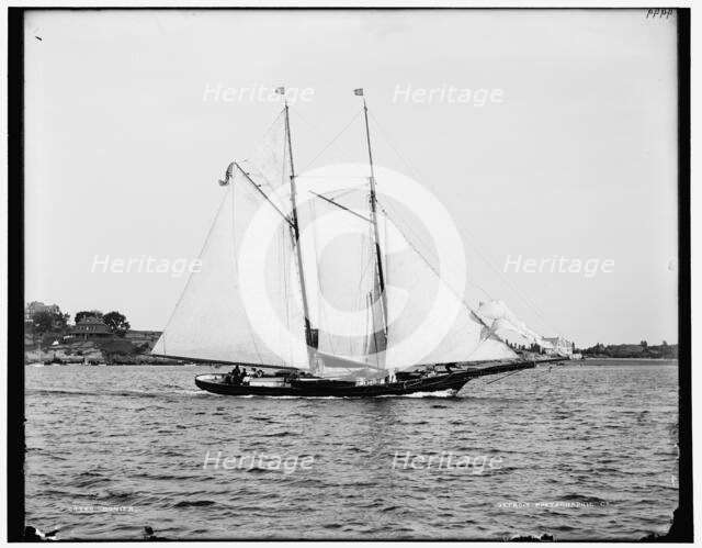 Bonita, between 1880 and 1899. Creator: Unknown.