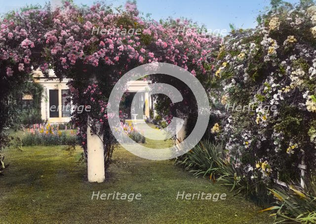 "Westlawn," Edward Tiffany Dyer house, Great Plains Road, Southampton, New York, 1914. Creator: Frances Benjamin Johnston.