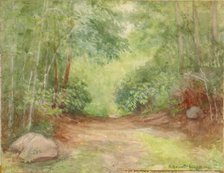 Untitled (Forest Scene), 1902. Creator: Robert Bruce McDougall.