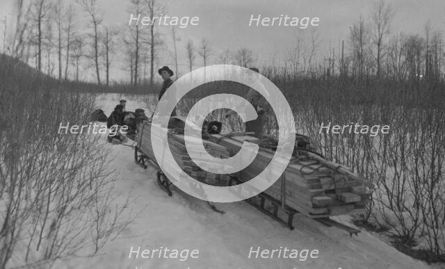 Hauling lumber by dog sleds, between c1900 and c1930. Creator: Unknown.