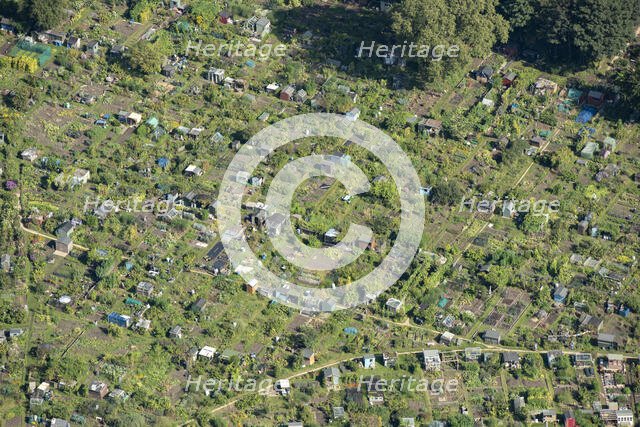 Allotments at Fulham Palace, Greater London Authority, 2021. Creator: Damian Grady.