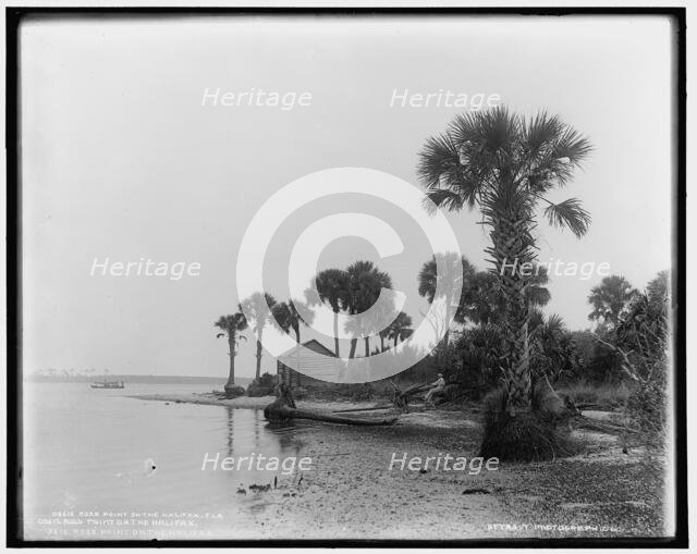 Ross Point on the Halifax, Fla., between 1880 and 1897. Creator: William H. Jackson.
