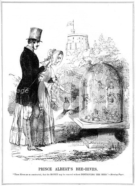'Prince Albert's Bee-Hives', 1843. Artist: Unknown
