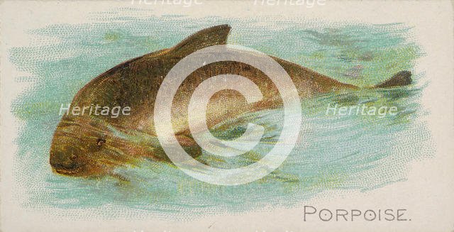 Porpoise, from the Fish from American Waters series (N8) for Allen & Ginter Cigarettes Bra..., 1889. Creator: Allen & Ginter.