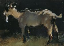 Goat, undated. (c1860-1900) Creator: Anton Schrodl.