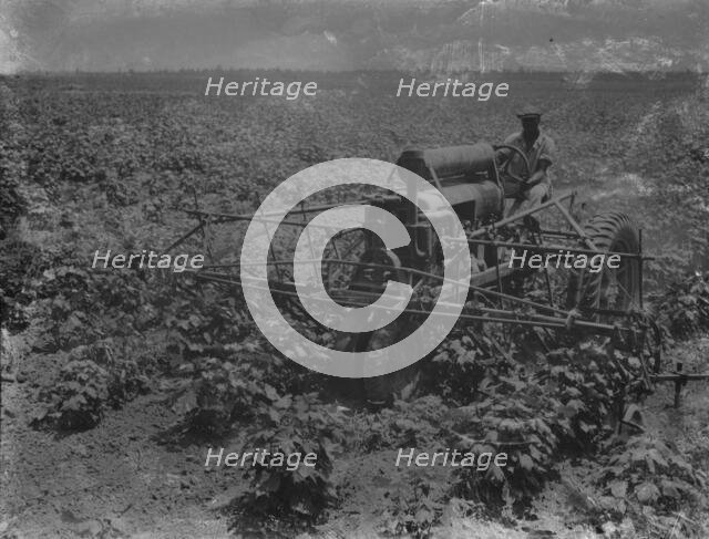Tractor and integrated four-row cultivator, Aldridge Plantation, near Leland, Mississippi, 1937. Creator: Dorothea Lange.