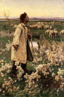 Shepherd, 1884. Creator: Gaines Ruger Donoho.