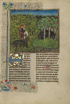 A Hunter and a Dog Tracking a Wild Boar; Livre de la Chasse, about 1430-1440. Creator: Unknown.