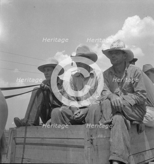 Arkansas sharecroppers going home, Near Blytheville, Arkansas, 1936. Creator: Dorothea Lange.