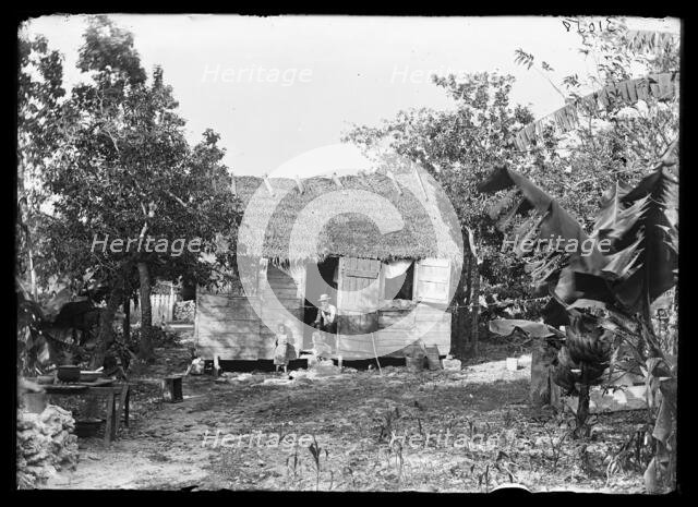 Thatched building and banana plant, possibly Nassau, Bahamas, between 1900 and 1915. Creator: Unknown.