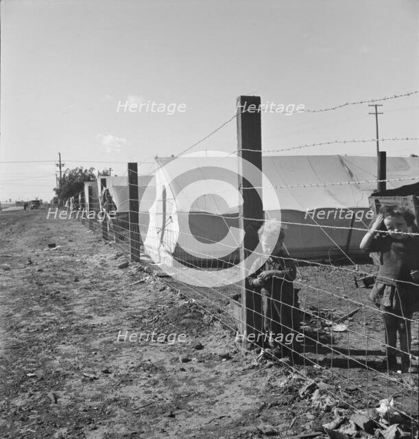 Living conditions for migratory children, pea harvest, outskirts of Calipatria, CA, 1939. Creator: Dorothea Lange.