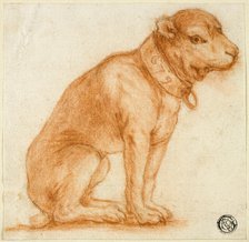 Seated Dog with Collar, 1695-1721. Creator: Dirk Valkenburg.