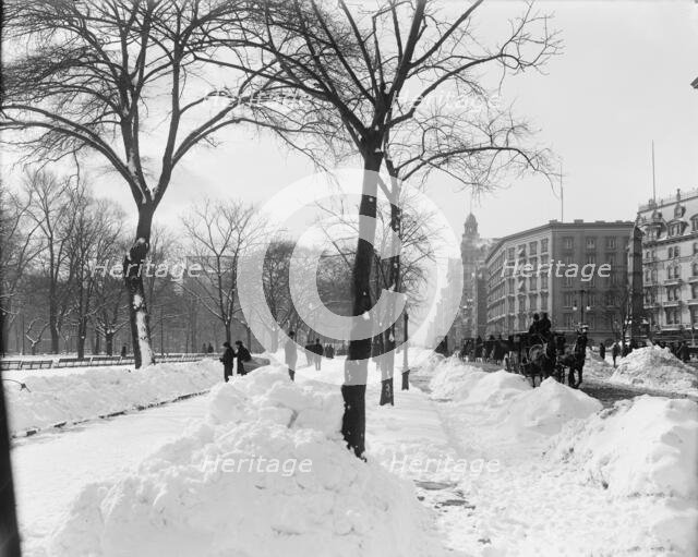 Fifth Ave. on a winter morning, New York, N.Y., between 1900 and 1906. Creator: Unknown.