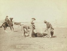 Branding calves on roundup, 1888. Creator: John C. H. Grabill.