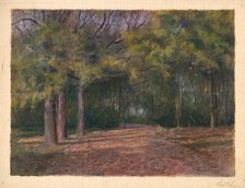 Forest II, early 20th century. Creator: Dezider Czölder.