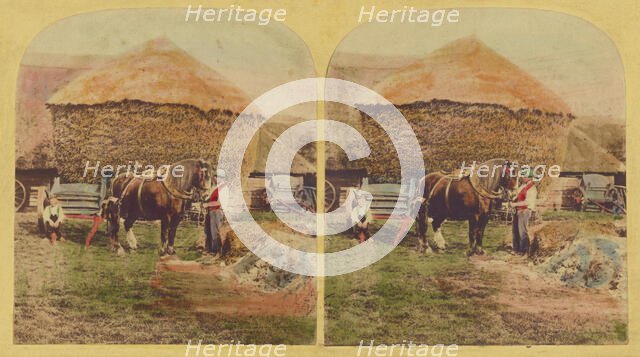 Farmer holding horse, large haystack in background, about 1860. Creator: Unknown.