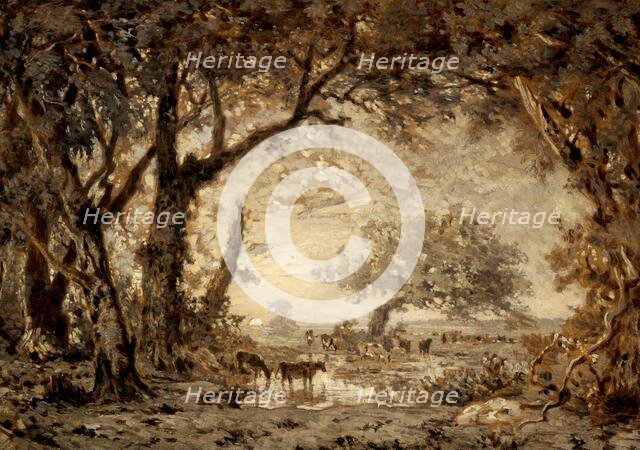 Sunset from the Forest of Fontainebleau, 1848. Creator: Theodore Rousseau.