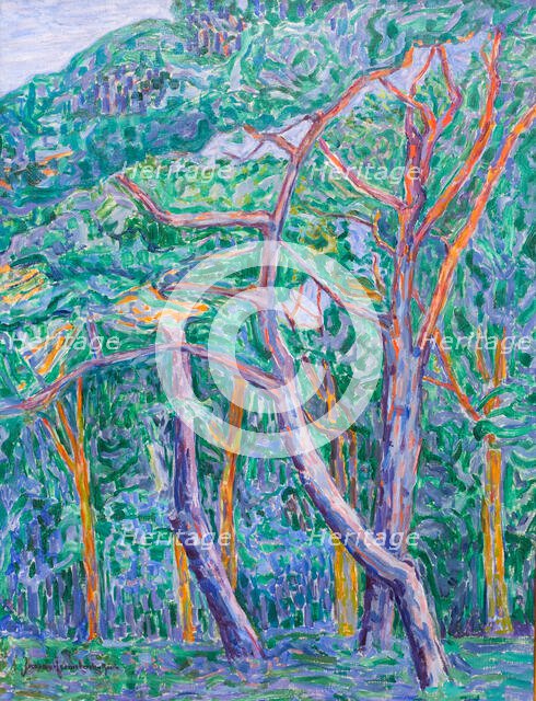 Pinewood, 1908. Creator: Heemskerck, Jacoba van (1876-1923).