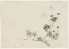Purple-white chrysanthemums, 1808-1861. Creator: Utagawa Kuniyoshi.