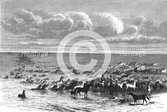 'A troup of horses crossing the Volga; A Journey on the Volga', 1875. Creator: Nicholas Rowe.