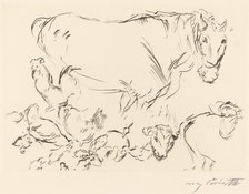 Verschiedene Tierstudien (Animal Studies), 1917. Creator: Lovis Corinth.