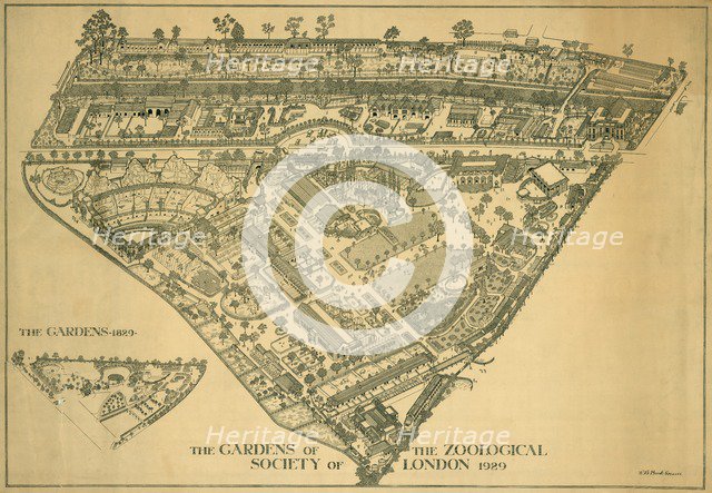 London Zoo, Regents Park, Westminster, 1929. Artist: RB Brook Greaves.