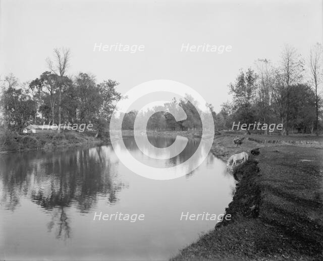Clinton River summer resort, Mt. Clemens, between 1880 and 1899. Creator: Unknown.