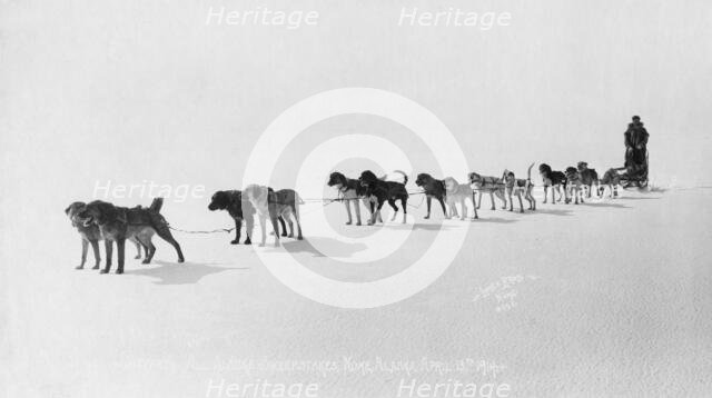 Dog team at Seventh All Alaska Sweepstakes, April 13, 1914. Creator: Unknown.