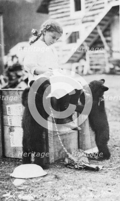 Girl with bear cubs, between c1900 and c1930. Creator: Unknown.
