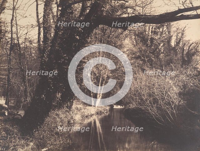 Parc de Courances, 1860-70. Creator: Eugène Cuvelier.