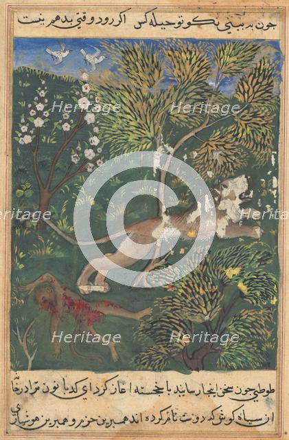 Tuti-Nama (Tales of a Parrot): Tale XXIX, c. 1560. Creator: Unknown.