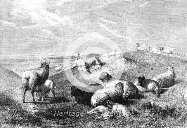 "The Blessings of a Shepherd's Life" by H. B. Willis, in the Gallery of the British..., 1862. Creator: Mason Jackson.