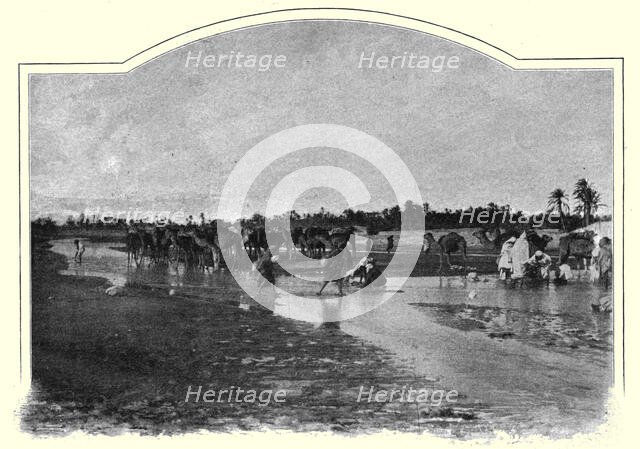 ''Gafsa. L'Oued Baiech; Afrique du nord', 1914. Creator: Unknown.