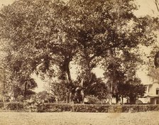 View From Our Garden, Dum Dum, 1850s. Creator: Captain R. B. Hill.