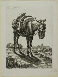 Feeding Mule - Front, from Die Zweite Thierfolge, 1800. Creator: Johann Christian Reinhart.