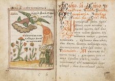 The Apocalypse (Old Believer Book), 1712-1713. Creator: Ancient Russian Art.