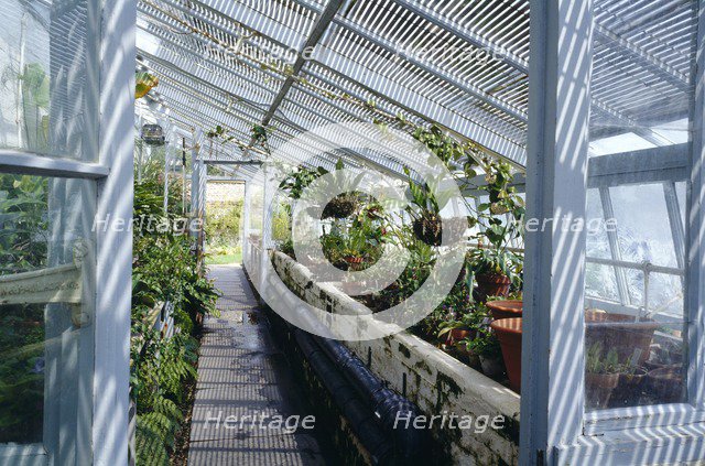 Darwin's greenhouse, Down House, Downe, London, c2000s(?).  Artist: Historic England Staff Photographer.