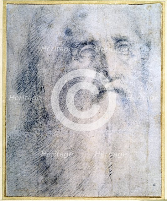 'Study of an old Man's head with a beard', c1535. Artist: Domenico Beccafumi
