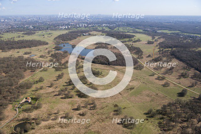 Deer park, Richmond Park, Richmond upon Thames, London, 2018. Creator: Historic England Staff Photographer.