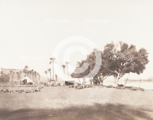 Korósko, Sycomores et Campement d'une Caravane pour le Sennâr, 1851-52, printed 1853-54. Creator: Félix Teynard.