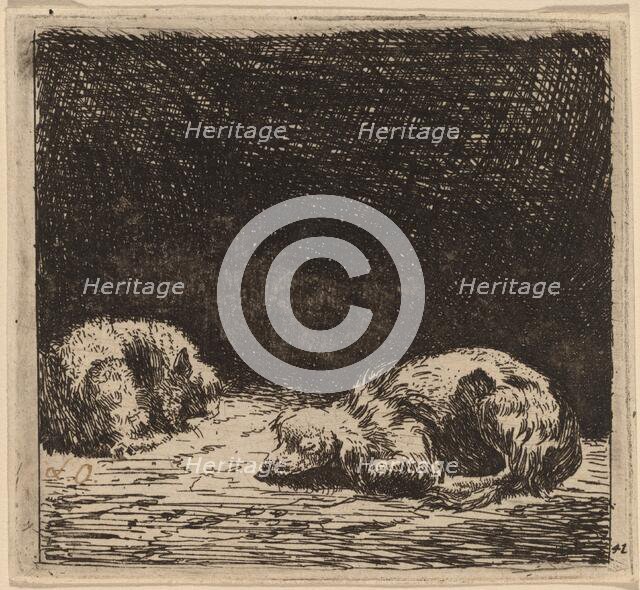 Dog and Cat. Creator: Karel Du Jardin.