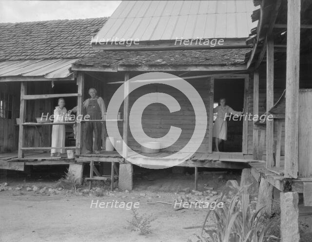 Home of farmer who has raised cotton for fifty years on his own land, Greene County, Georgia, 1937. Creator: Dorothea Lange.