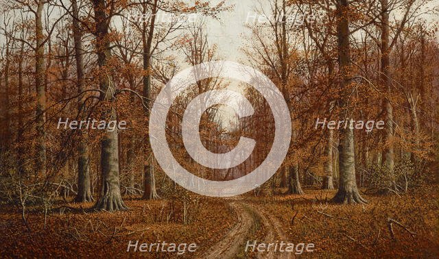 Beech Trees, date unknown. Creator: William M Snyder.