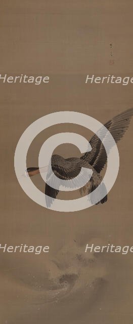 A goose in flight, 1900. Creator: Seitei (Shotei); Watanabe (1851-1918).