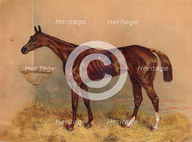 'Emblem, Steeplechase Mare', c1879. Creator: Unknown.