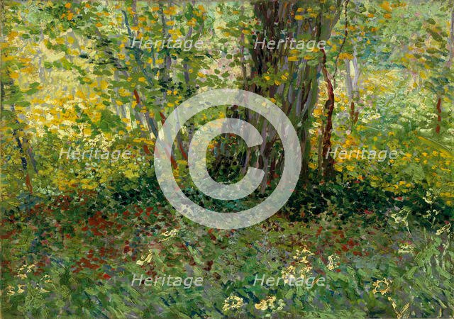 Sous-bois (Underwood), 1887. Creator: Gogh, Vincent, van (1853-1890).