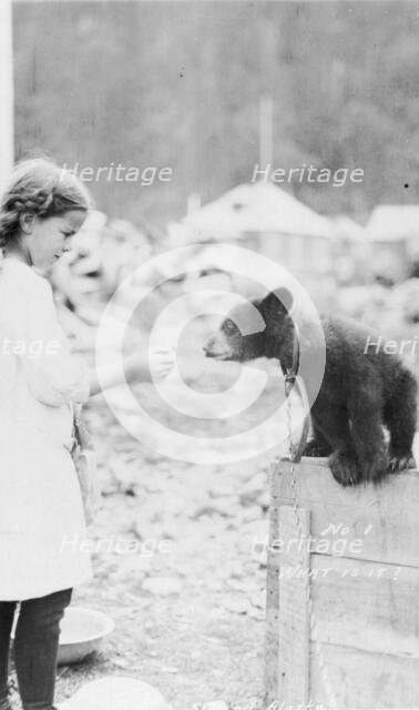 Girl and bear cub, between c1900 and 1916. Creator: Unknown.
