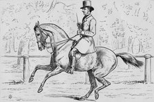 'A Morning Canter in the Park', 1881.  Creator: Samuel Sidney.